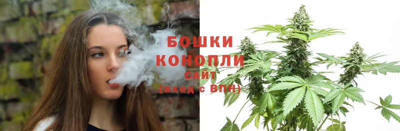 Бошки марихуана OG Kush  Александровск-Сахалинский 